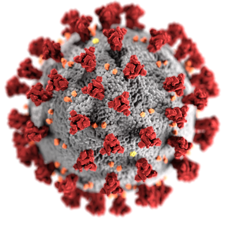 Coronavirus microbe. A grey ball with a rough texture and red spokes coming off of it