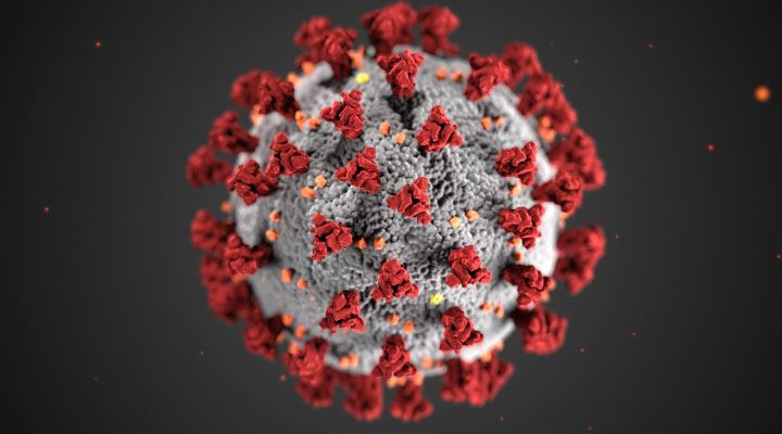 Coronavirus 2